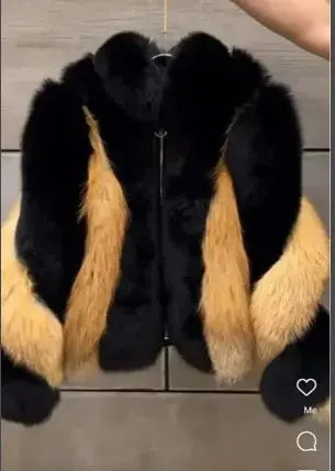 black and red fox